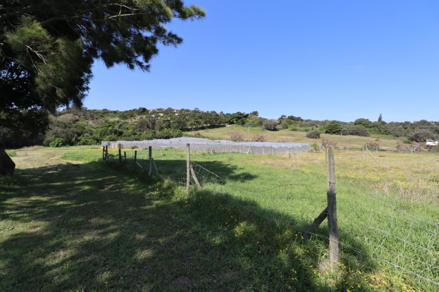 Commercial Property for Sale in Chelsea Eastern Cape